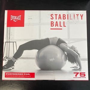 Stability ball with hand pump